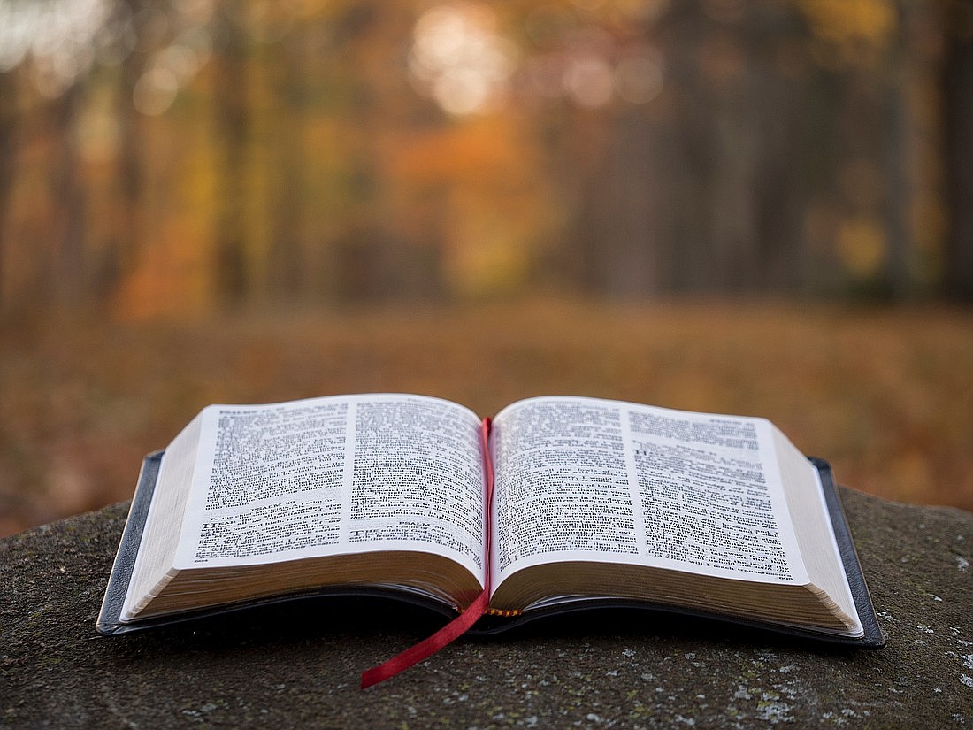WORD OF FAITH: A breakdown of each week's upcoming Sunday readings to better understand the Word of God at Mass.
