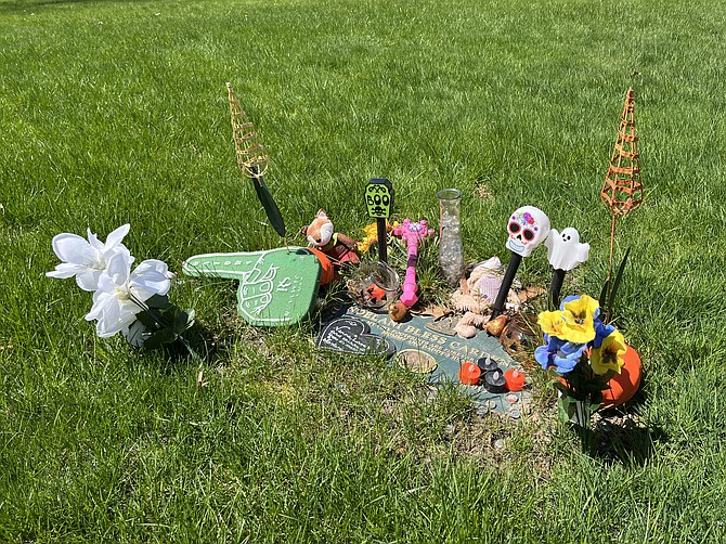 Photo detail