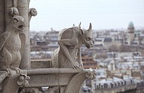 photo thumbnail