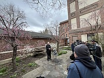 photo thumbnail