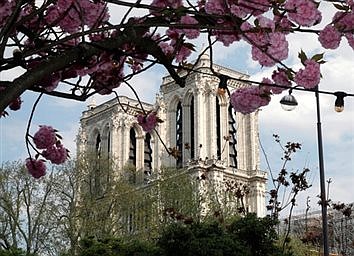 Renewed pledge to rebuild Notre Dame Cathedral by 2024