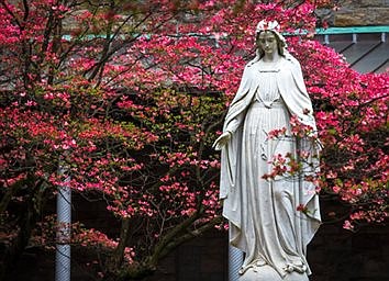 U.S., Canadian bishops will consecrate their nations to Mary May 1 