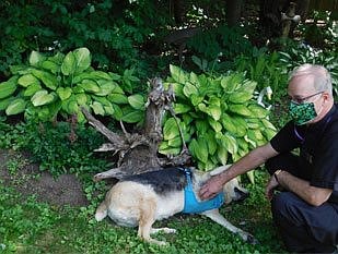 Father Gingras connects garden to Laudato Si’ call 