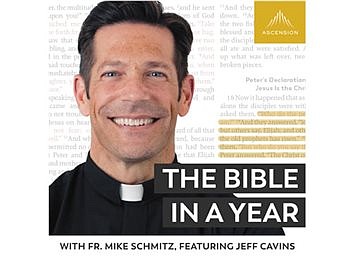 'THE BIBLE IN A YEAR'