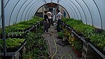 How does St. Anne garden grow? With teens working in greenhouse