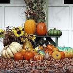 Putting the 'thanks' in Thanksgiving