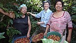 Life as a lay missionary