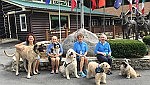 Catholics share pets with  nursing home residents