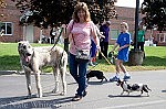 PET FEST AT ST. EDWARD'S