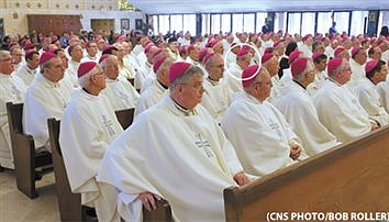 U.S. bishops meet in Florida