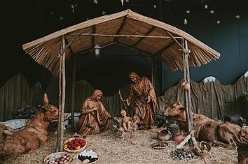 ONLINE ONLY: This week's Scripture column by Rev. Anthony Barratt