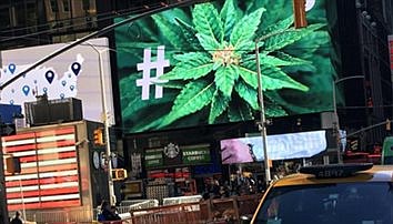 NYSCC opposes state’s push to legalize marijuana