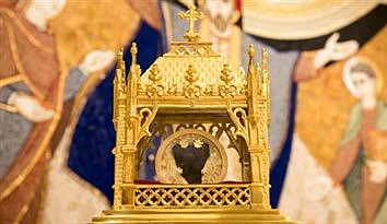 SEE THE ST. JEAN VIANNEY RELIC